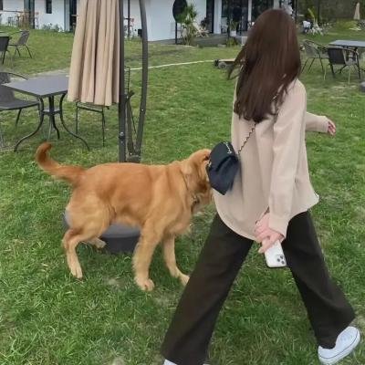 爱依然在